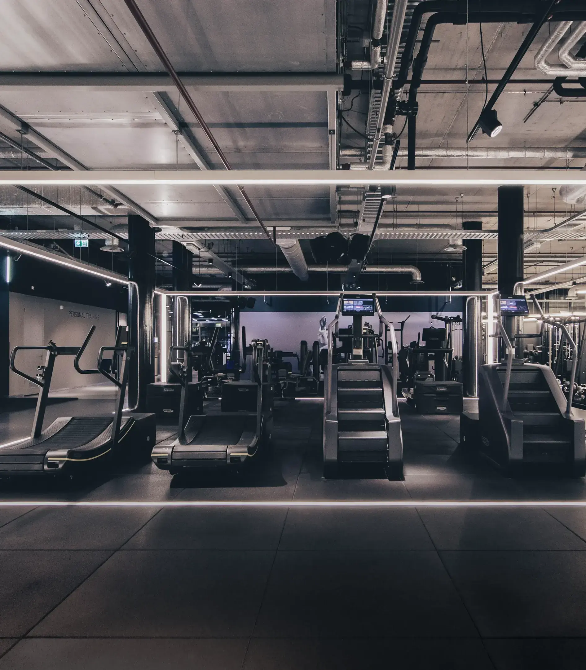 Clubsportive interior — portrait view